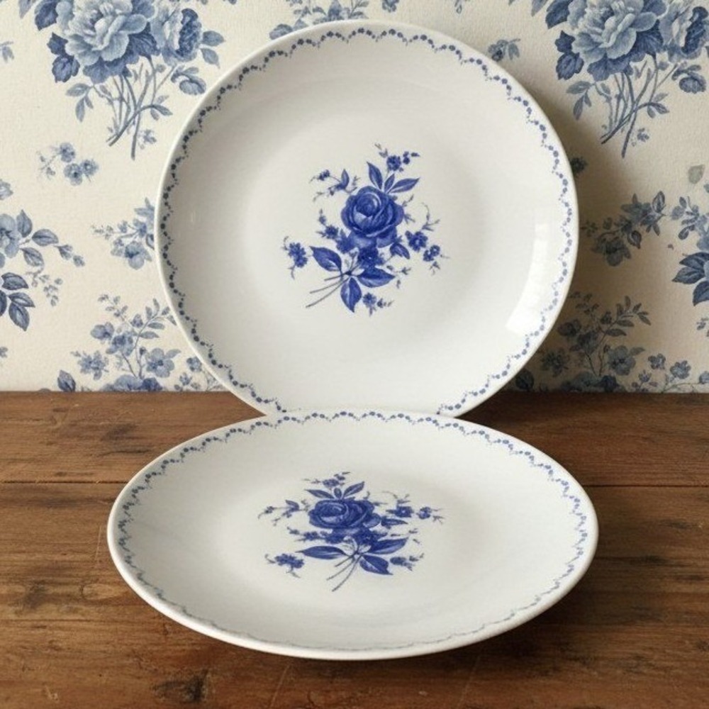 Alboth & Kaiser Bavaria Blue Flower Dinner Plates, Set of 2, Vintage Dinnerware